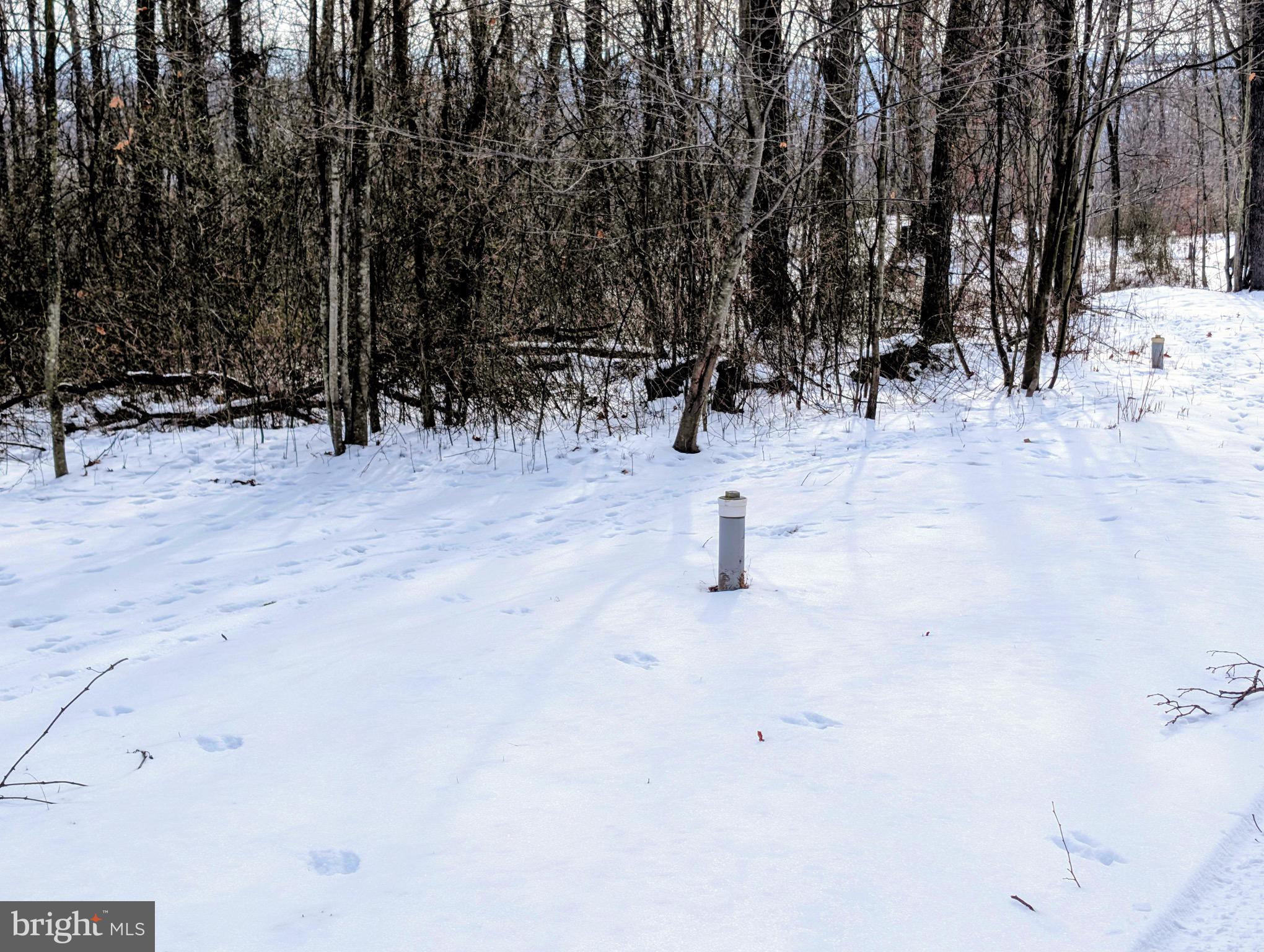 247 Short Cut Road Alum Bank, PA 15521 - Photo 10 of 15 a view of open space with trees