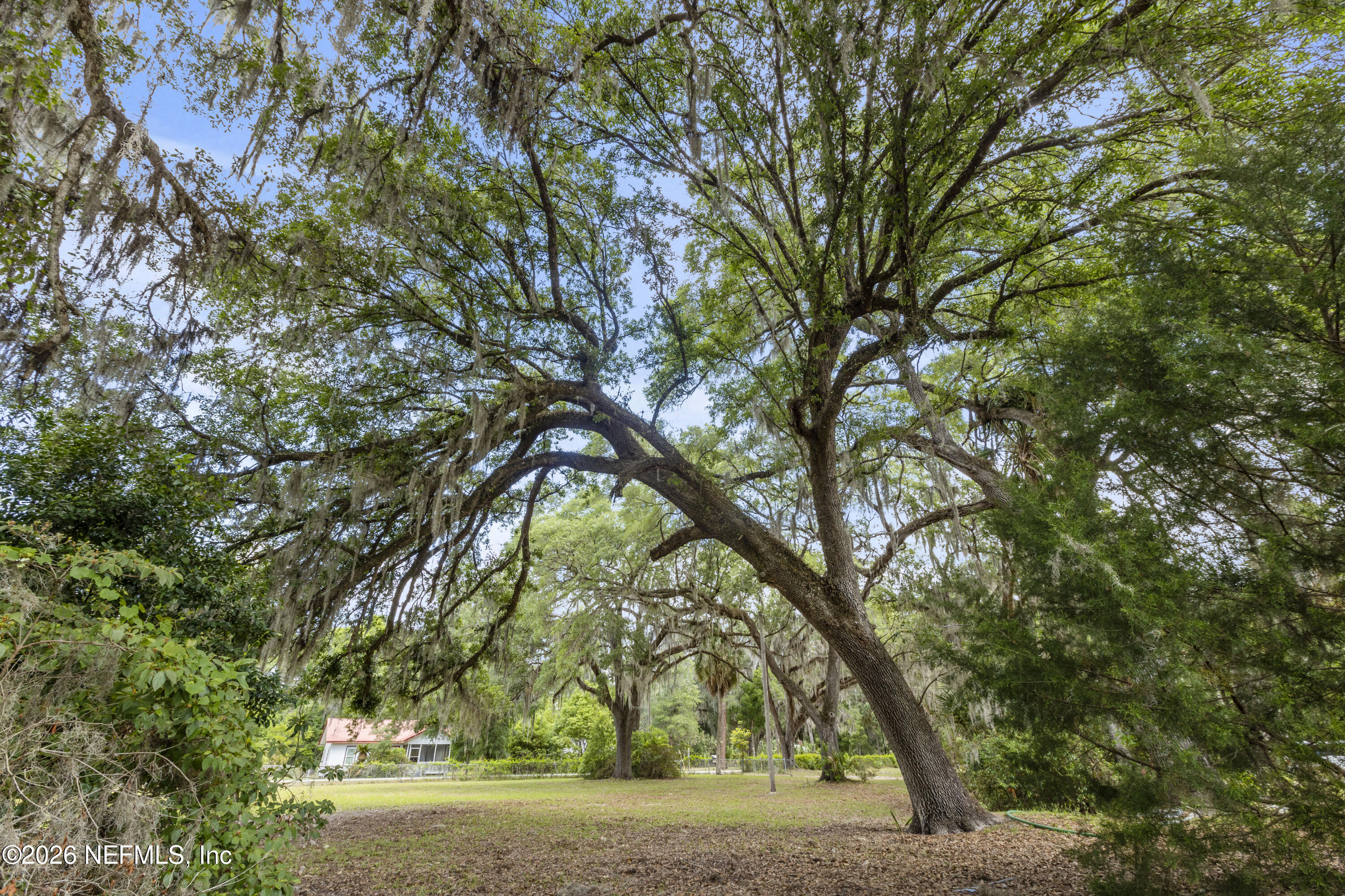 155 Roddy Road Palatka, FL 32177 - Photo 39 of 41