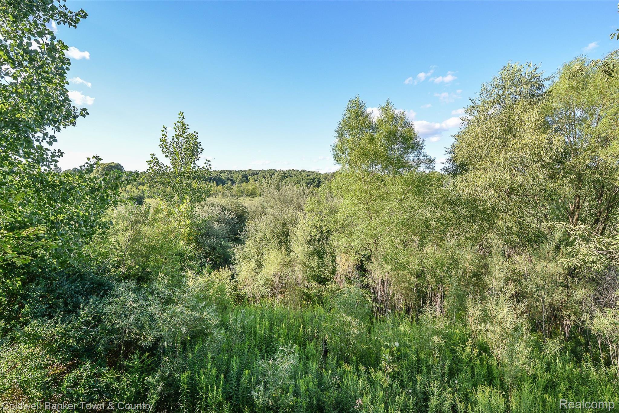 10105 Ridge Run Street Howell, MI 48855 - Photo 53 of 57 DSC_3092.jpg