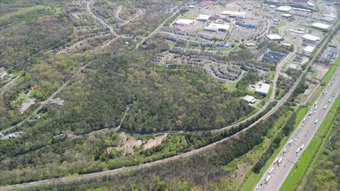 a view of a forest from a balcony