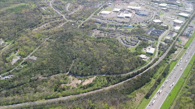 a view of a forest from a balcony