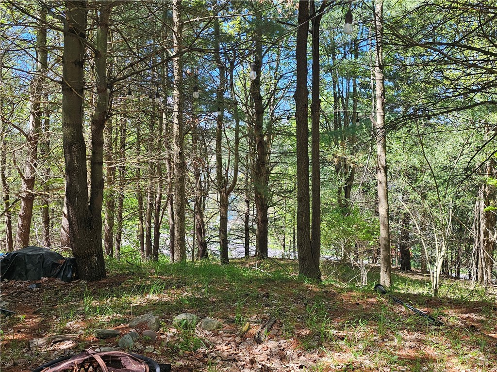 613 East Lake Road Penn Yan, NY 14527 - Photo 29 of 35
