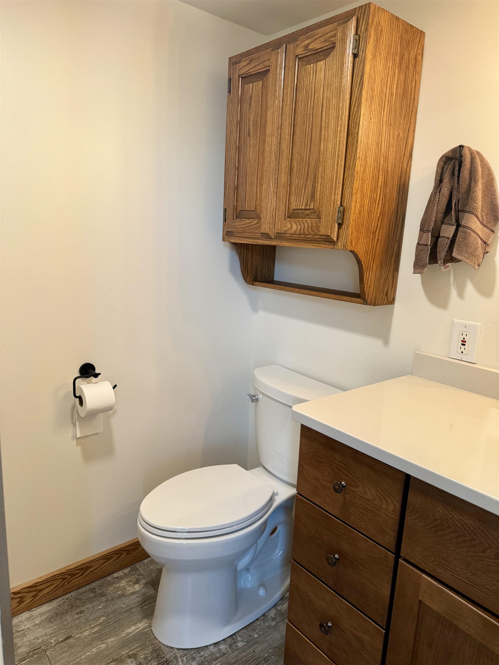 4651 South Begole Road Ithaca, MI 48847 - Photo 51 of 73