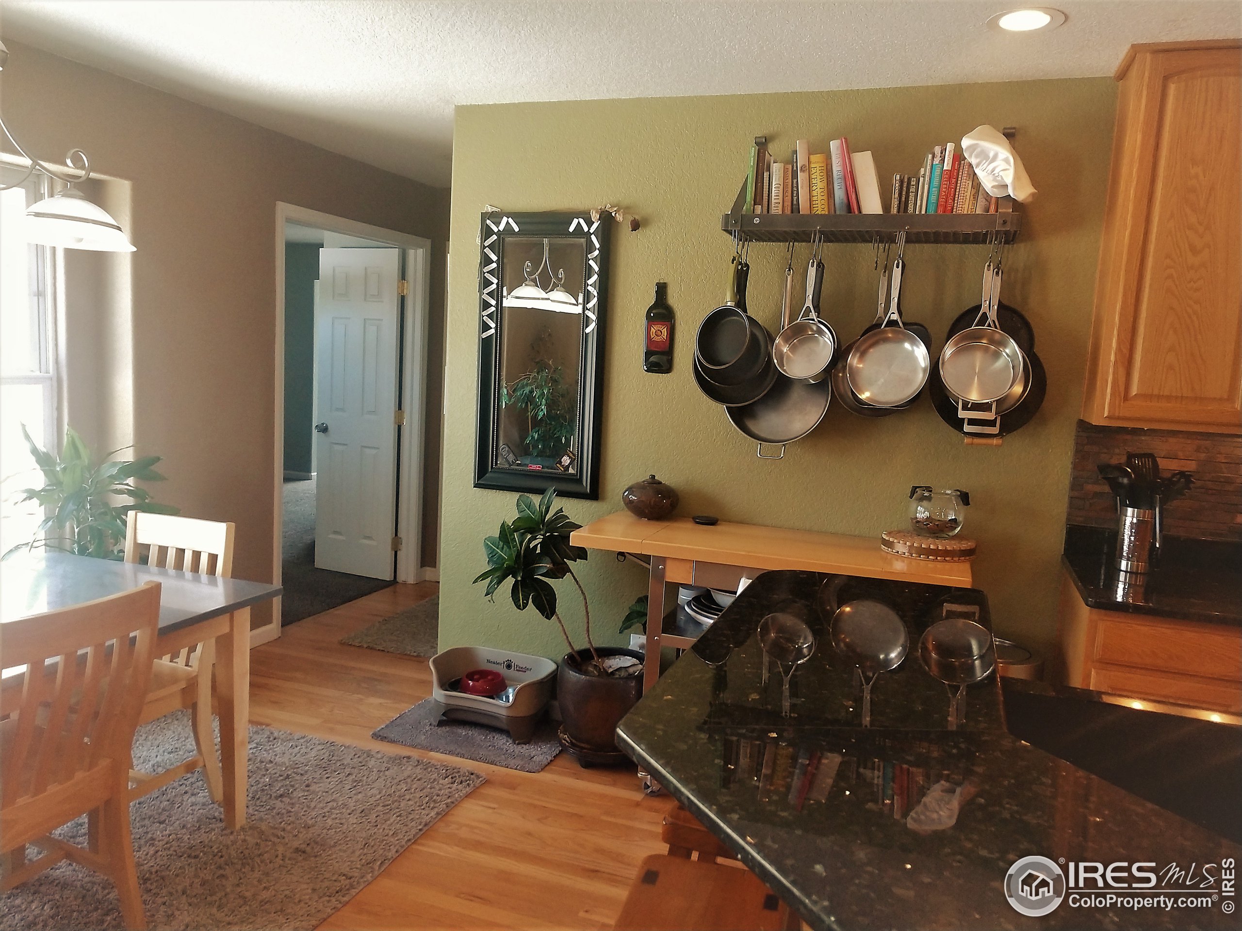 5708 Wetland Loop Frederick, CO 80504 - Photo 11 of 40