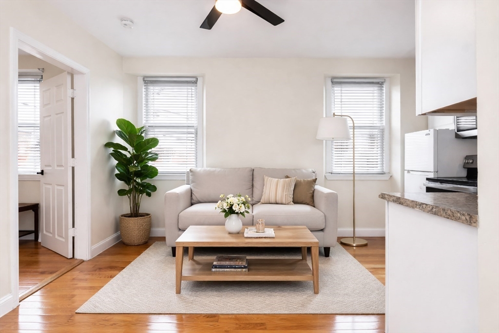 a living room with furniture and a potted plant