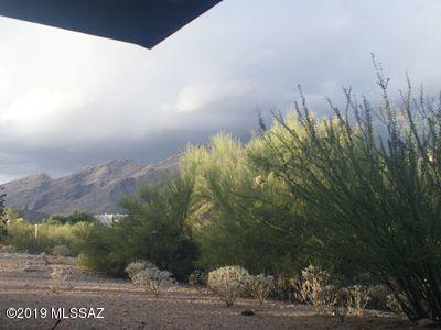 5855 North Kolb Road, Unit 1102W Tucson, AZ 85750 - Photo 15 of 22