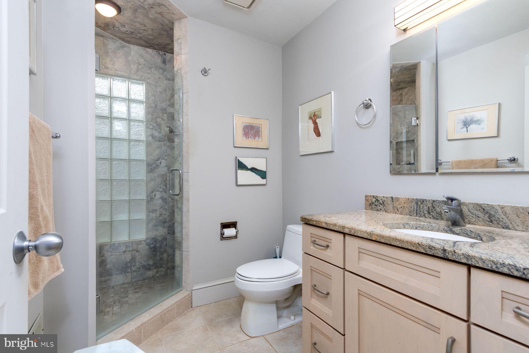20 Solebury Mountain Road New Hope, PA 18938 - Photo 23 of 43 a bathroom with a granite countertop sink a toilet and shower