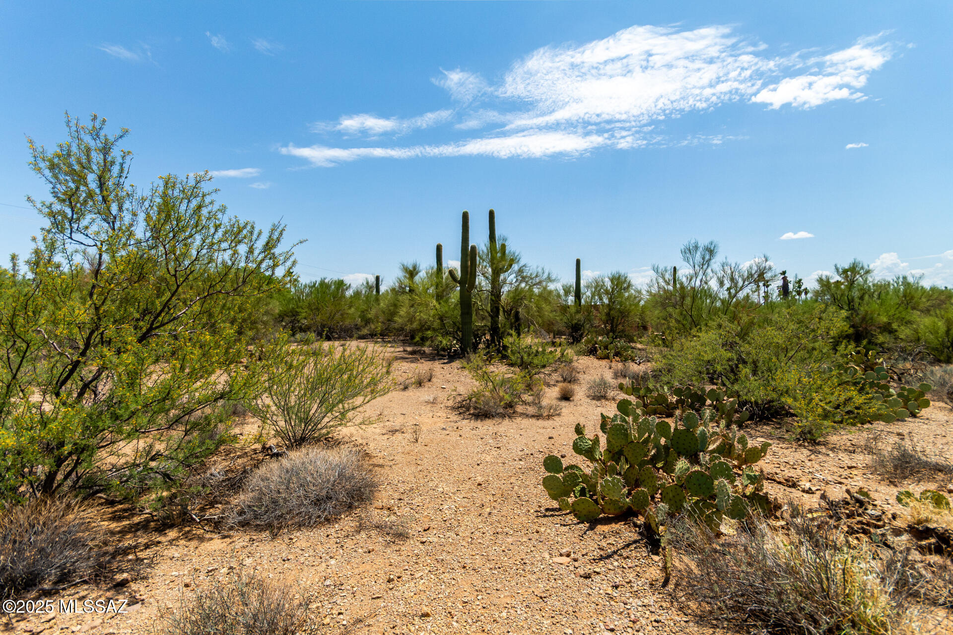 2900 South Kinney Road, Unit 13 Tucson, AZ 85735 - Photo 6 of 12 Gallery Image 6