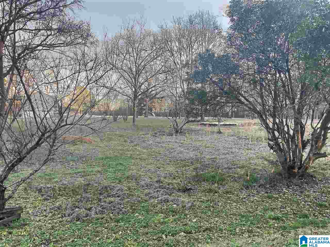 2561 Ferguson Road, Unit LOT 1 Gardendale, AL 35071 - Photo 2 of 4
