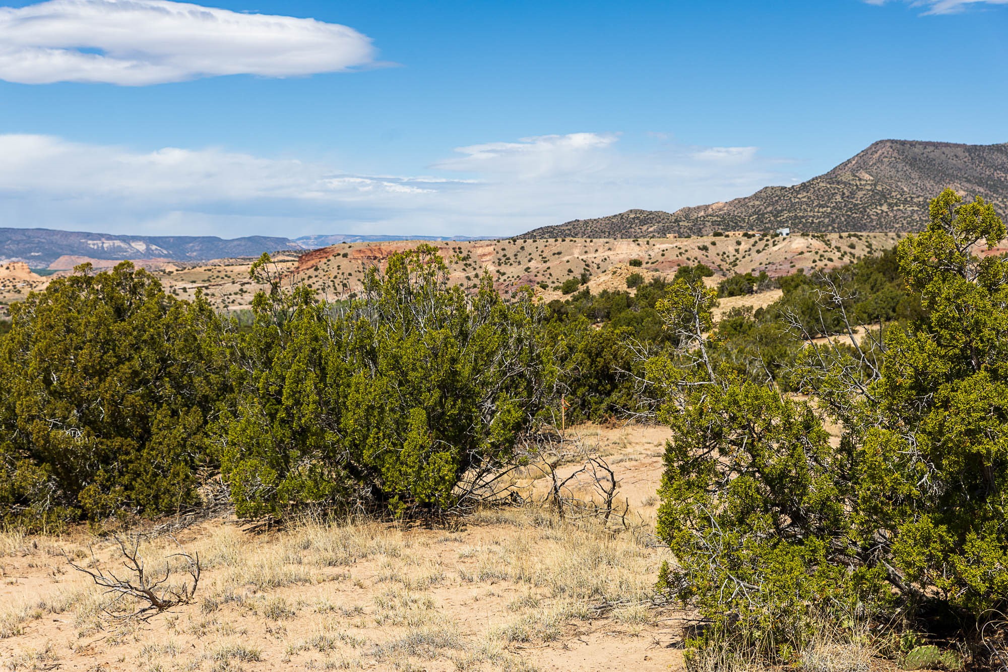 0 El Rito Estates Abiquiu, NM 87510 - Photo 41 of 56