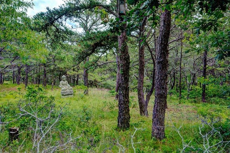 7 Horseleech Road Truro, MA 02666 - Photo 26 of 35 a view of a lush green forest