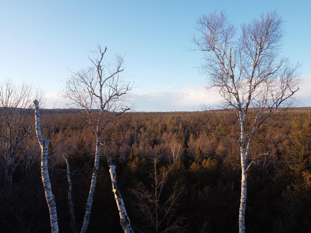Lot 43 Gibraltar Road Fish Creek, WI 54212 - Photo 10 of 18