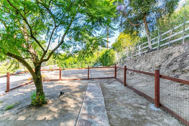 a view of a yard with large tree