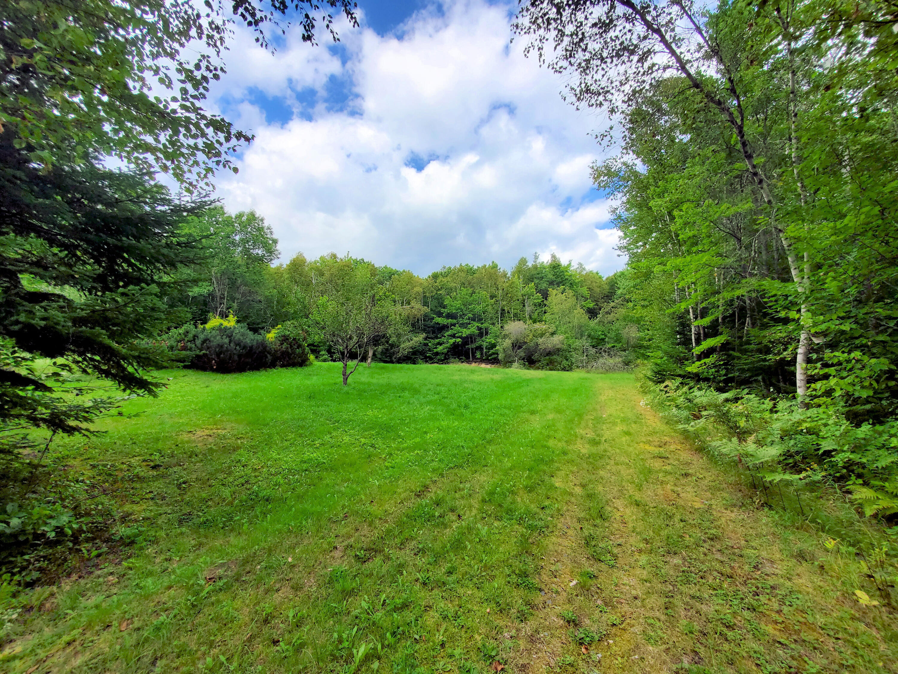 57 Vigue Road Hartland, ME 04943 - Photo 12 of 38 20210831_151933