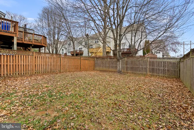 a view of a house with a large tree