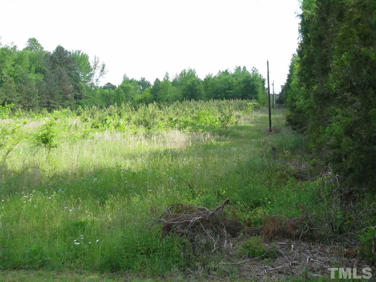 Seaman Road Norlina, NC 27563 - Photo 3 of 5 a view of a lush green space
