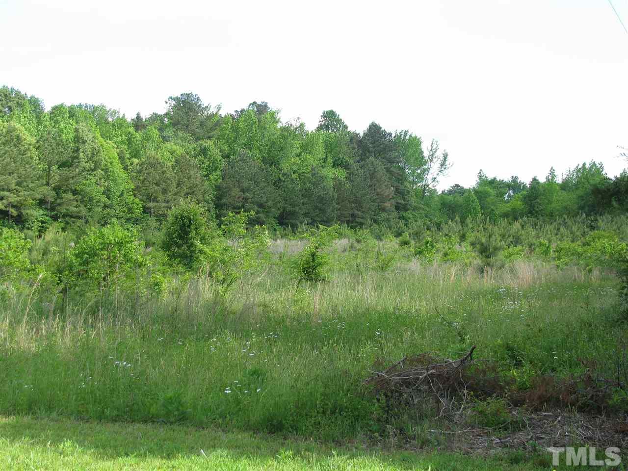 Seaman Road Norlina, NC 27563 - Photo 5 of 5 a view of a lush green space