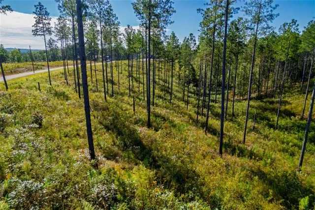 $84,900 | 140 River Reach Lane, Talking Rock, GA 30175