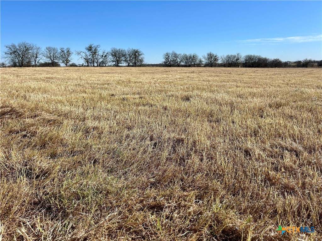 8571 Pecan Road Troy, TX 76579 - Photo 7 of 9