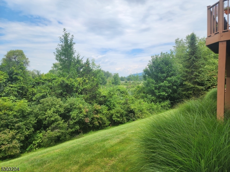 7 Maple Crescent, Unit 11 Vernon, NJ 07462 - Photo 37 of 42 a view of a big yard with plants and large trees