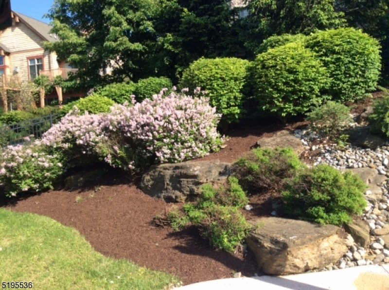 7 Maple Crescent, Unit 11 Vernon, NJ 07462 - Photo 41 of 42 a view of a garden with plants and large trees