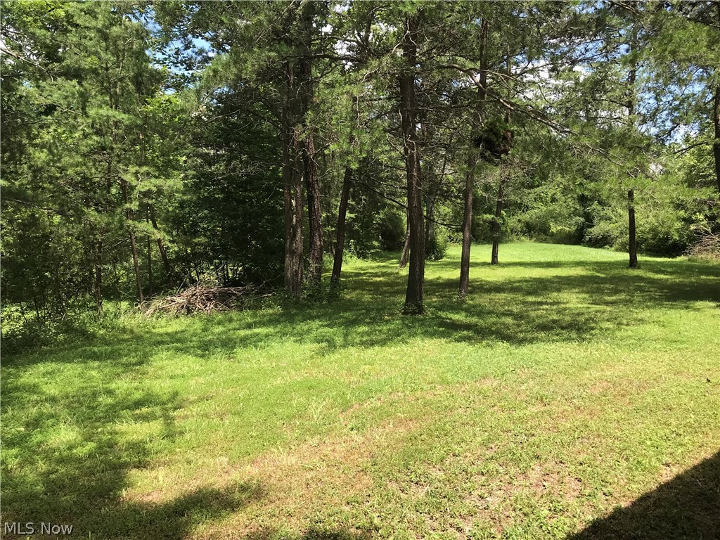 636 Veteran Road Ripley, WV 25271 - Photo 5 of 21