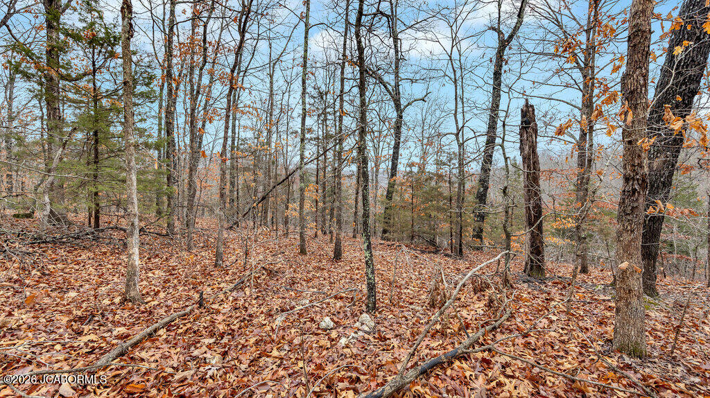 5754 Dry Branch Road St. Clair, MO 63077 - Photo 8 of 20
