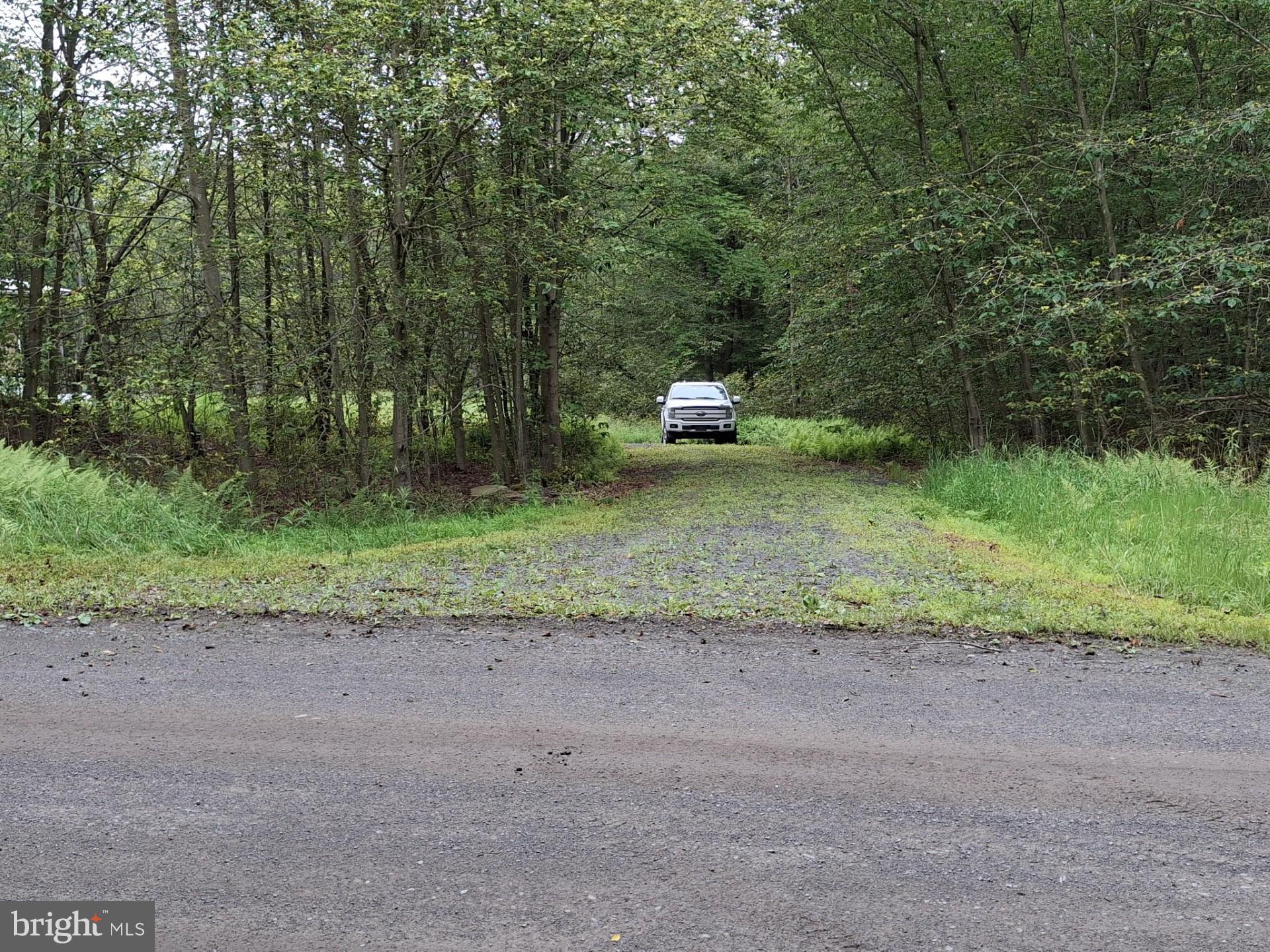 1070 Hayes Road Dushore, PA 18614 - Photo 3 of 23 Driveway View