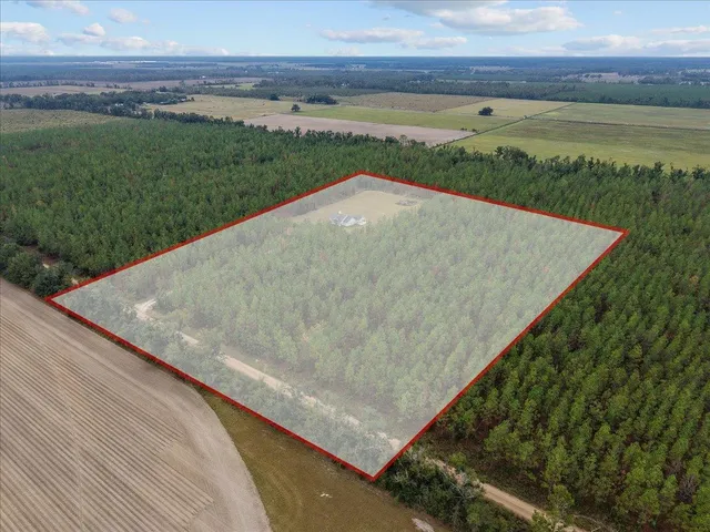 $375,000 | 2542 Southeast Olustee Drive, Lee, FL 32059