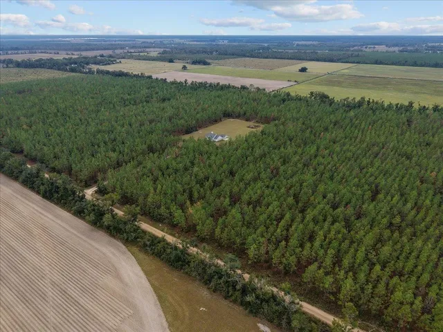 $375,000 | 2542 Southeast Olustee Drive, Lee, FL 32059