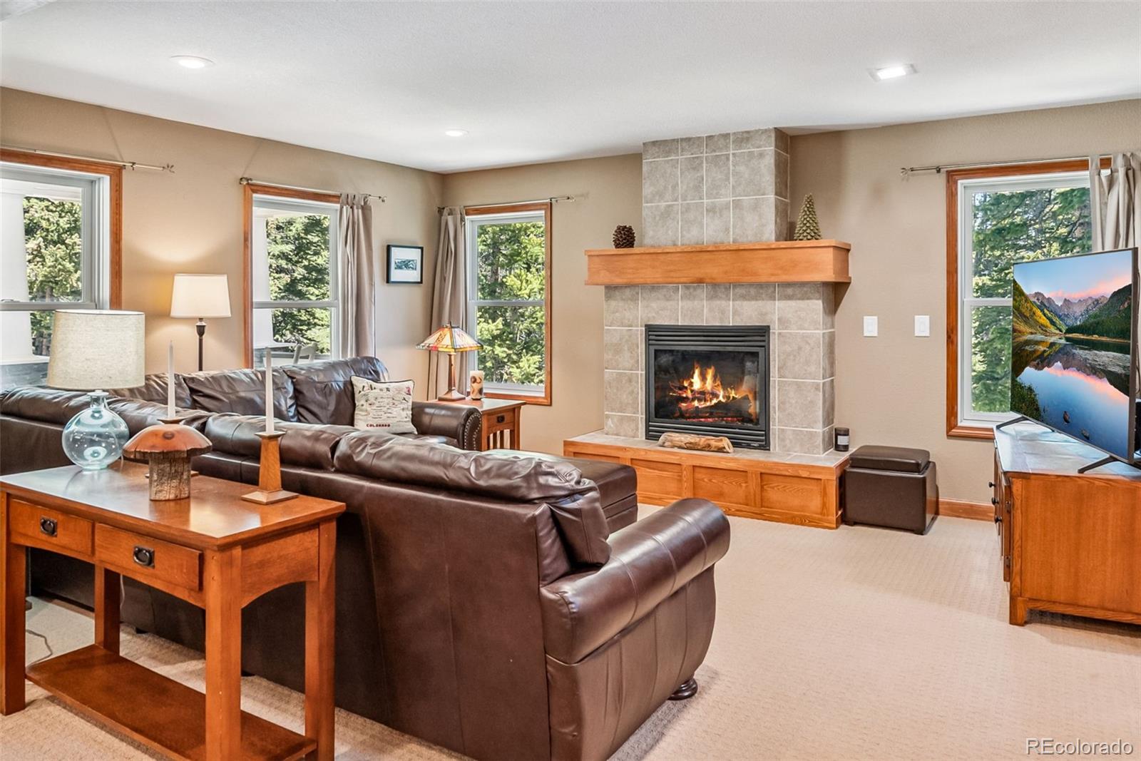 74 Rialto Road Fairplay, CO 80440 - Photo 1 of 42 Gallery Image 1