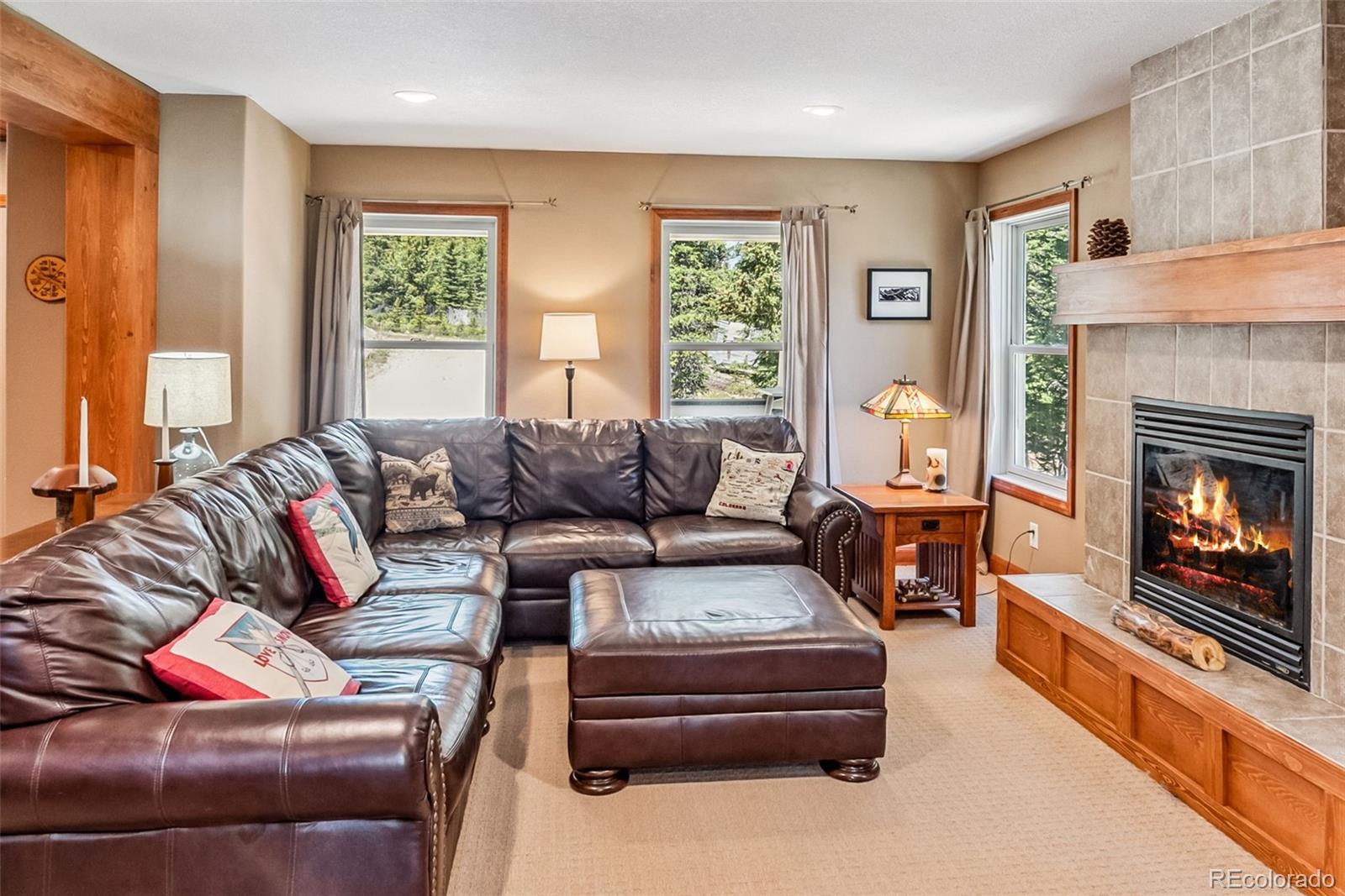 74 Rialto Road Fairplay, CO 80440 - Photo 11 of 42 Gallery Image 11