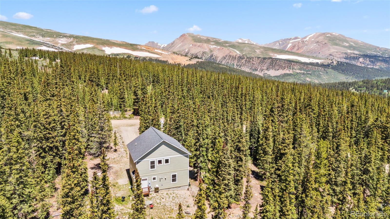 74 Rialto Road Fairplay, CO 80440 - Photo 17 of 42 Gallery Image 17