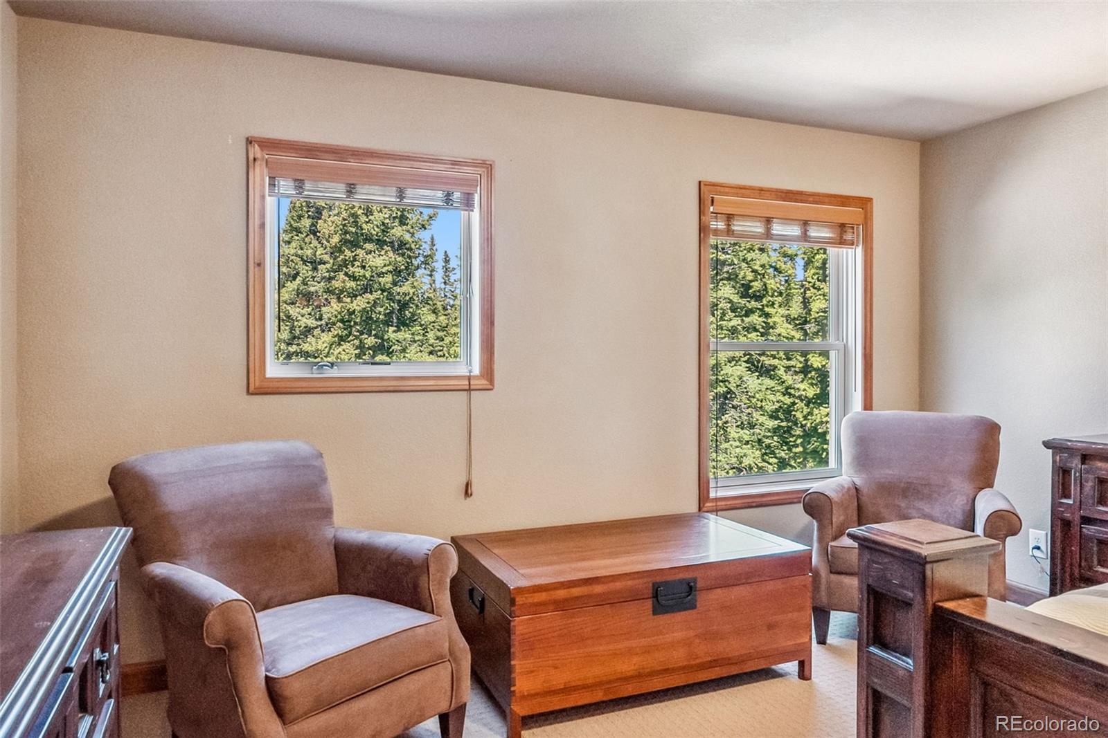 74 Rialto Road Fairplay, CO 80440 - Photo 23 of 42 Gallery Image 23