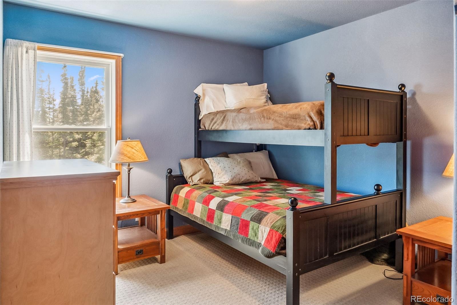 74 Rialto Road Fairplay, CO 80440 - Photo 25 of 42 Gallery Image 25
