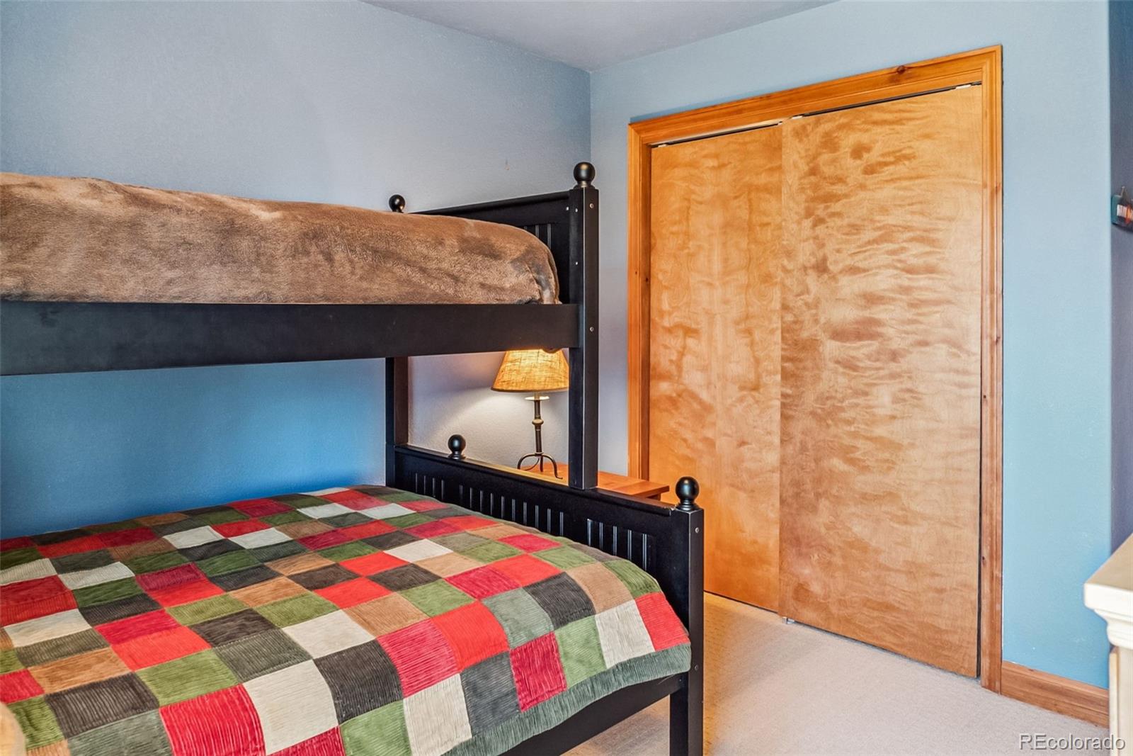 74 Rialto Road Fairplay, CO 80440 - Photo 30 of 42 Gallery Image 30
