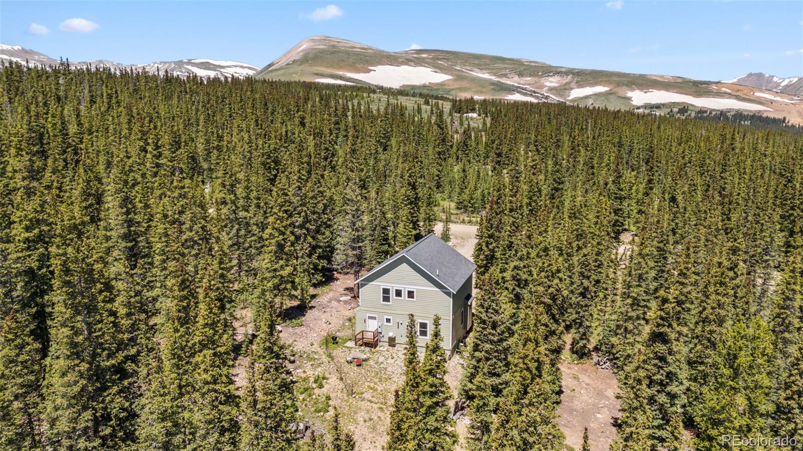 74 Rialto Road Fairplay, CO 80440 - Photo 31 of 42 Gallery Image 31