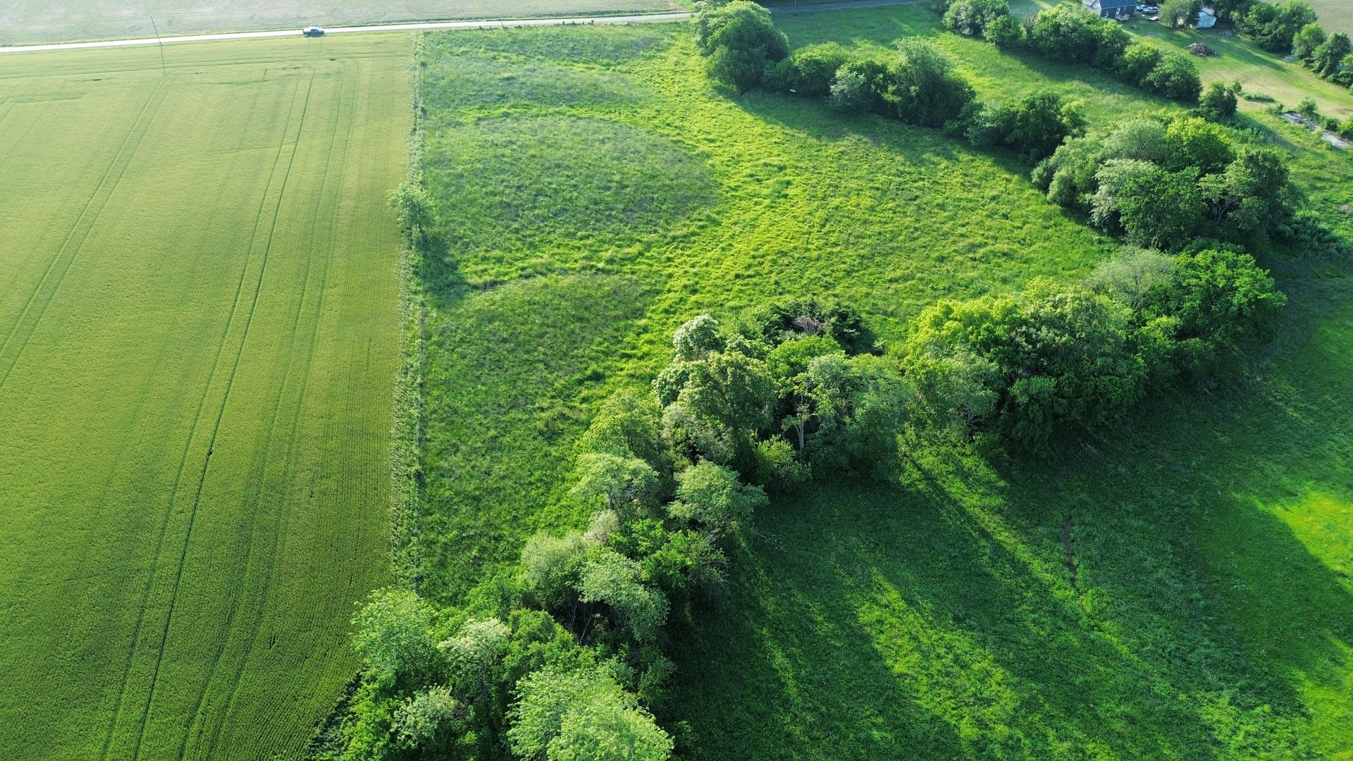 0 County Highway 29 Road Rinard, IL 62878 - Photo 5 of 28
