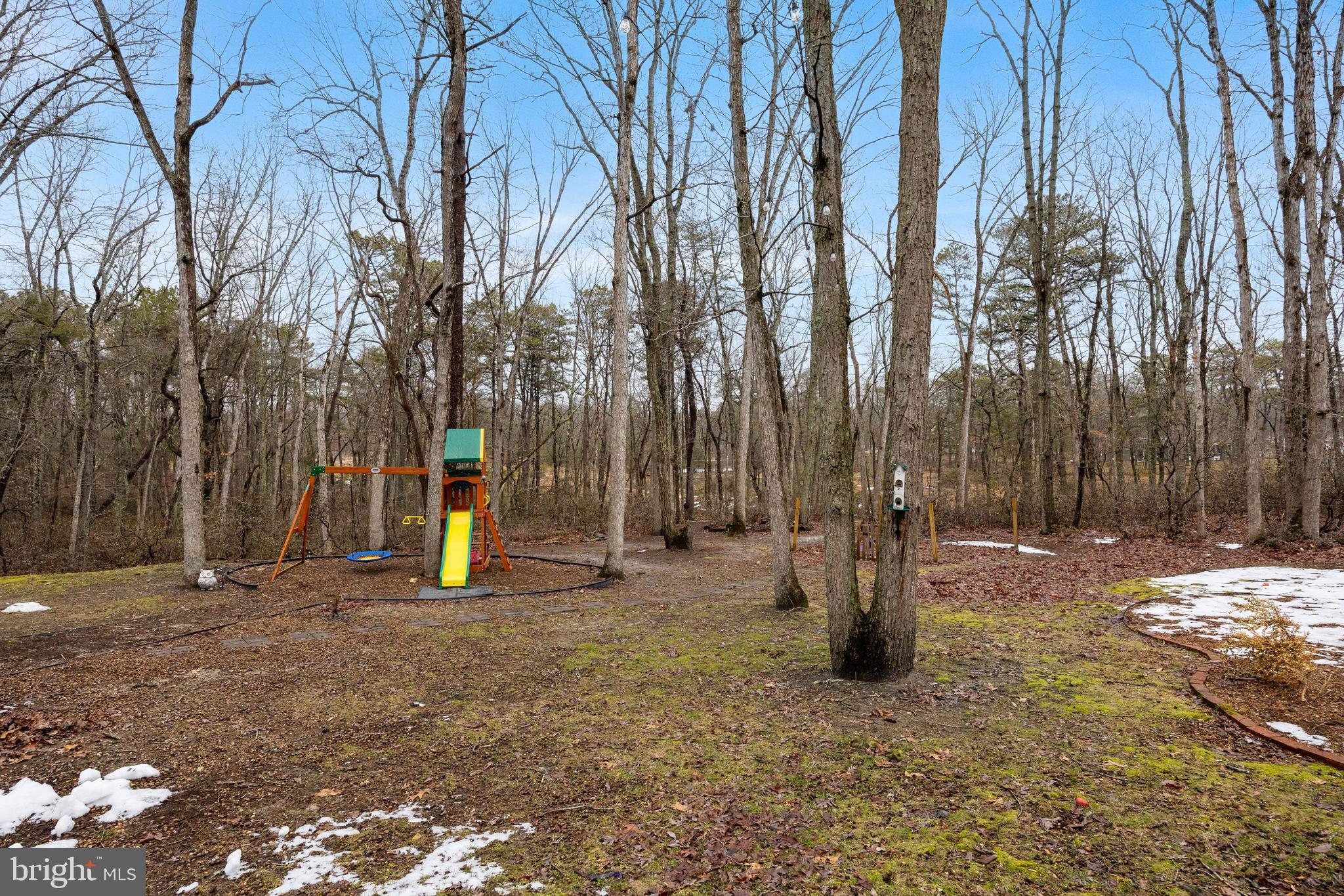 42 Mockingbird Way Medford, NJ 08055 - Photo 34 of 55