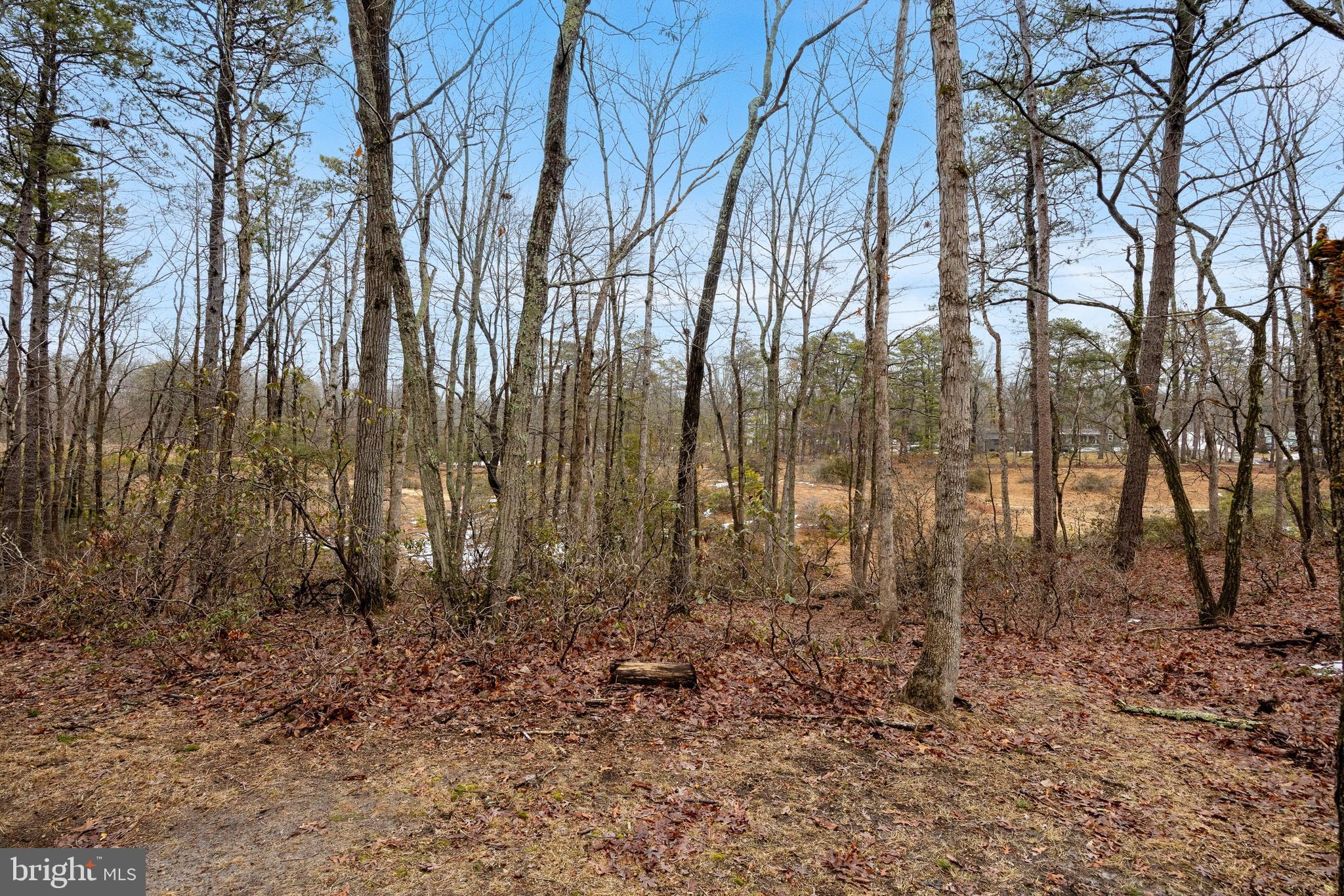 42 Mockingbird Way Medford, NJ 08055 - Photo 35 of 55