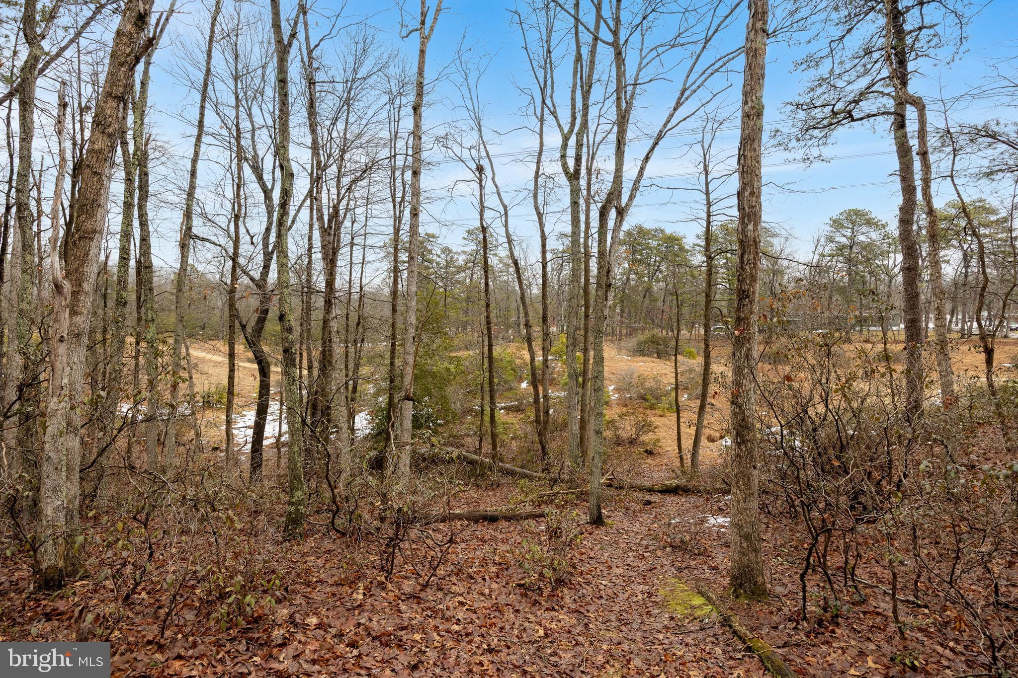 42 Mockingbird Way Medford, NJ 08055 - Photo 36 of 55