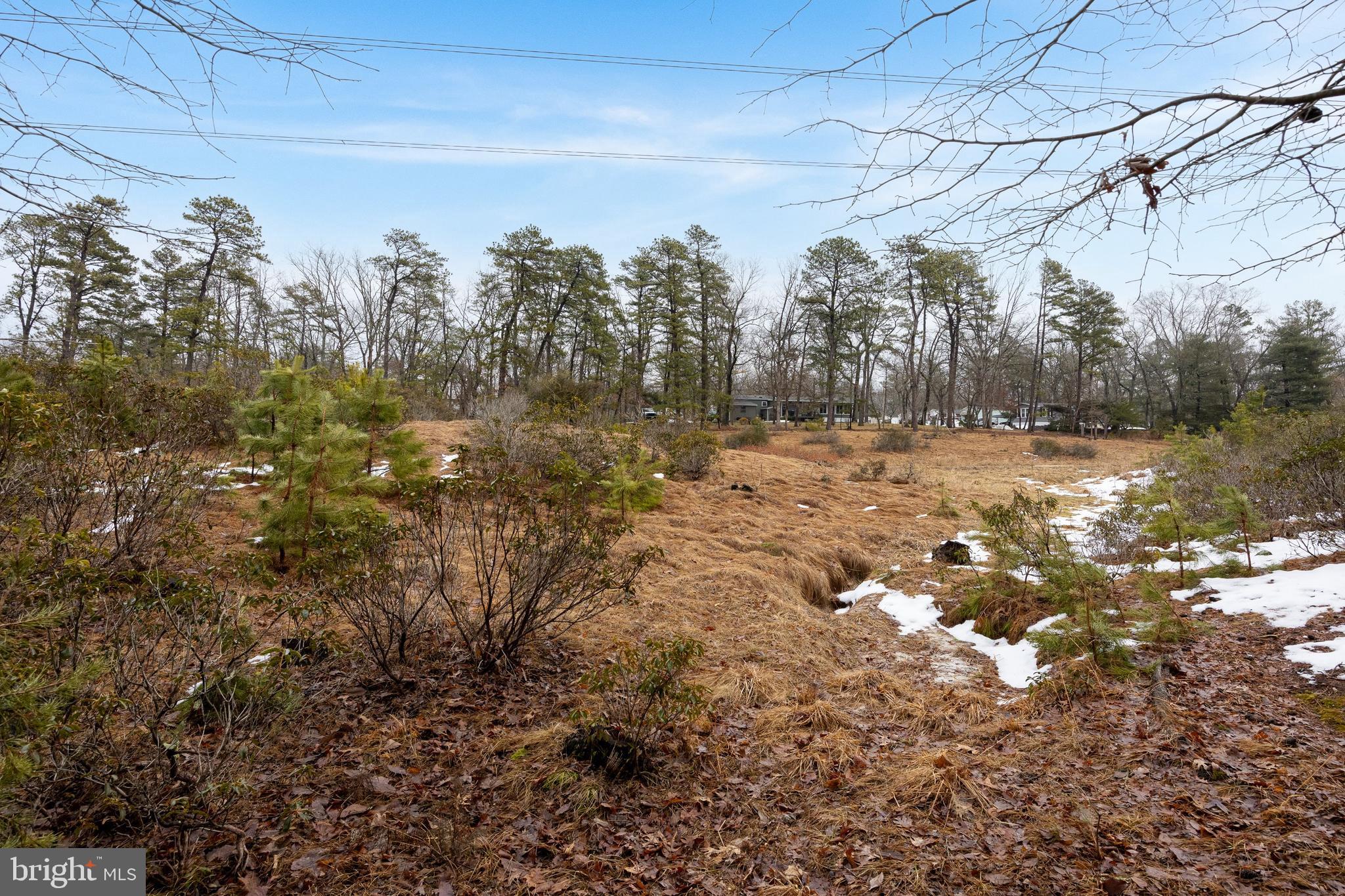 42 Mockingbird Way Medford, NJ 08055 - Photo 37 of 55
