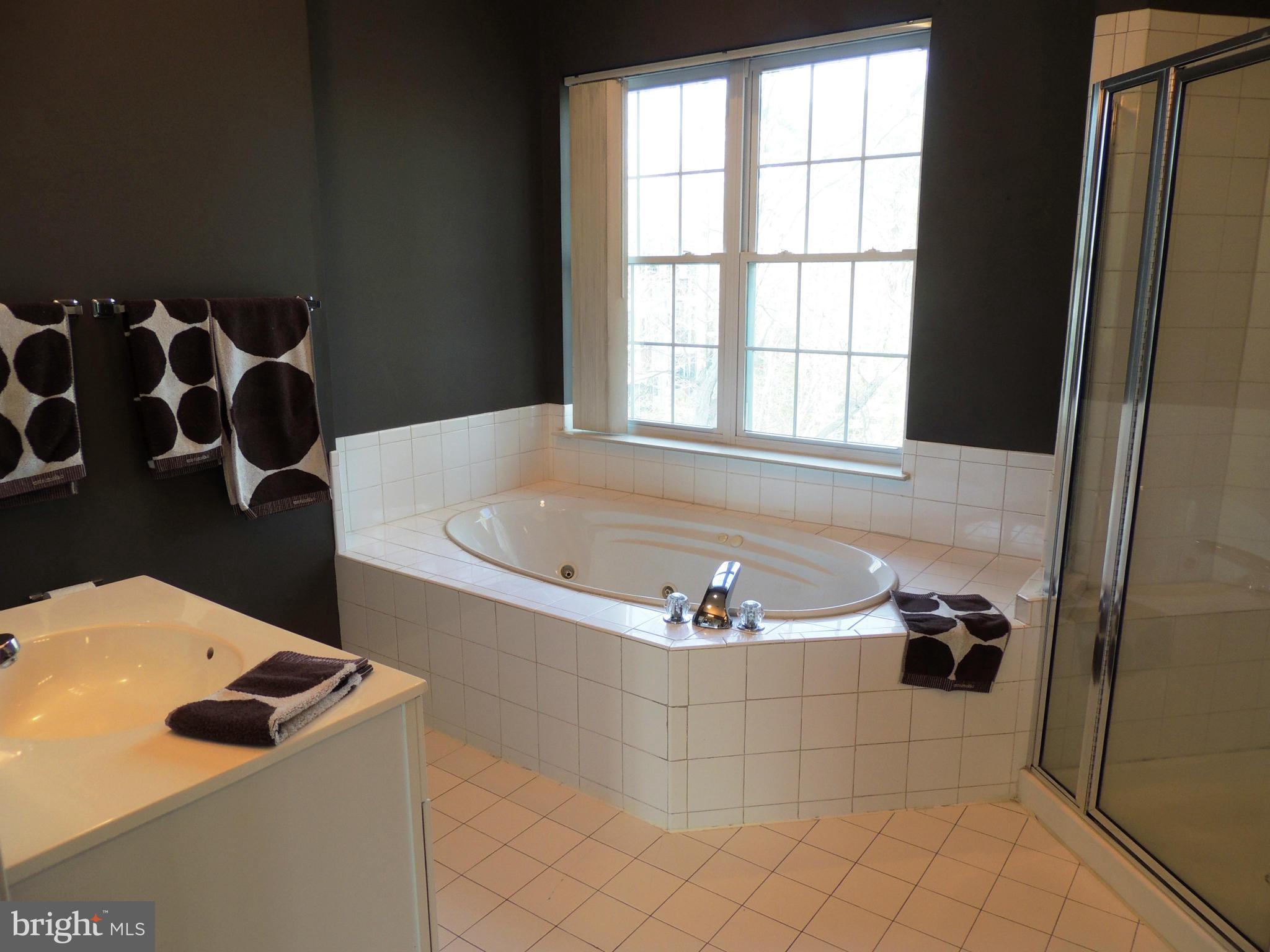 635 Runabout Loop, Unit 635 Solomons, MD 20688 - Photo 17 of 30 Jetted Tub