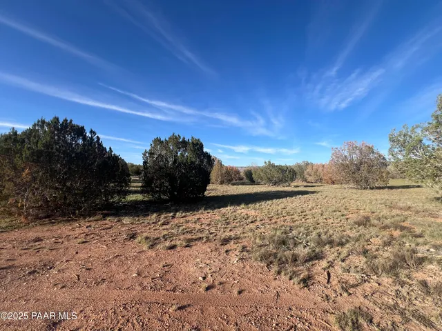 $295,000 | 0 Basconia Lane, Seligman, AZ 86337