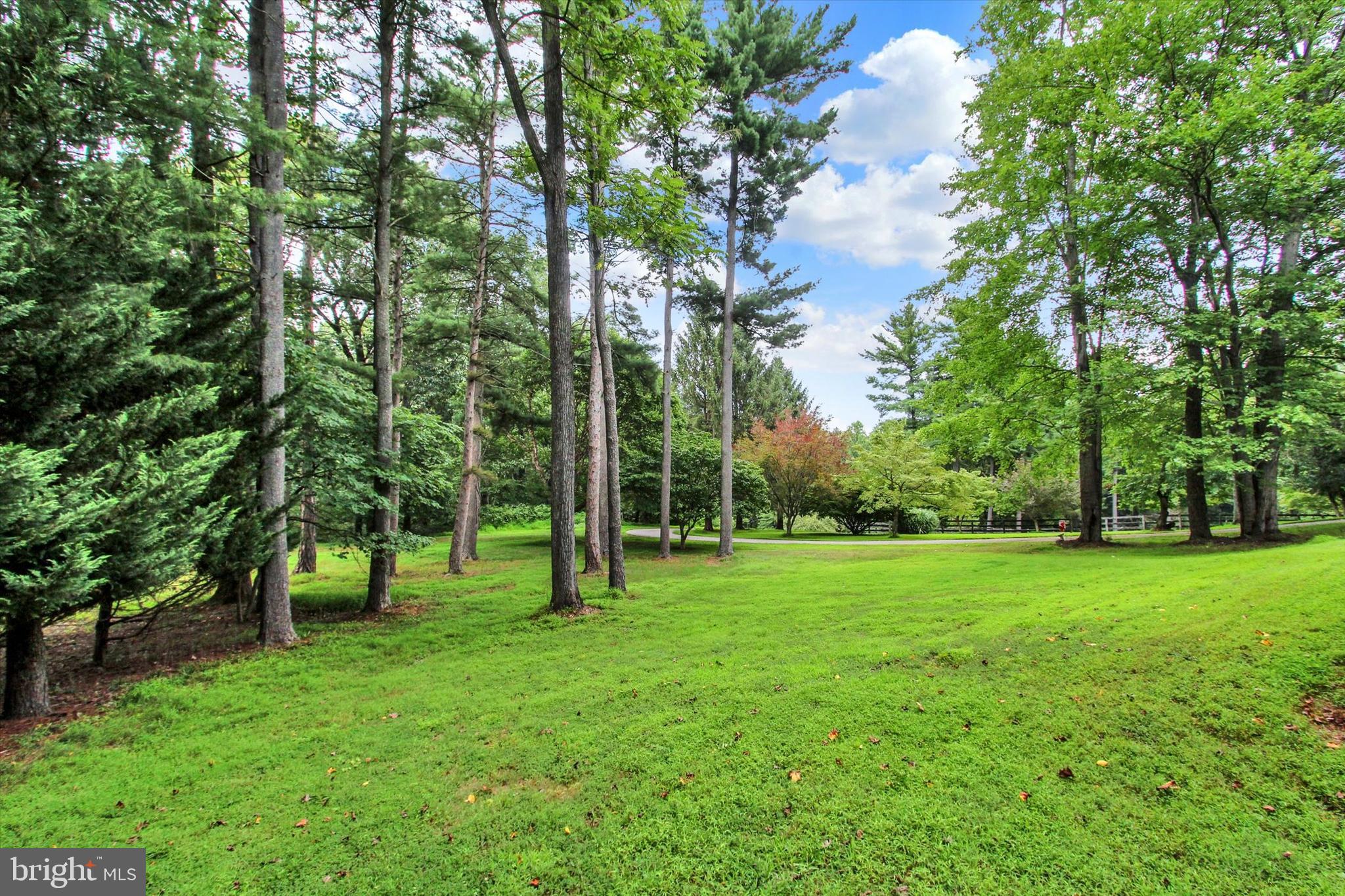 5318 Bentz Road Spring Grove, PA 17362 - Photo 48 of 69 Grounds