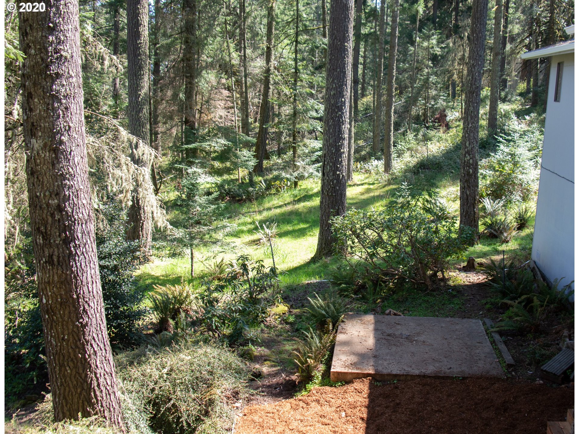 84487 Murdock Road Eugene, OR 97405 - Photo 25 of 28 Gallery Image 25