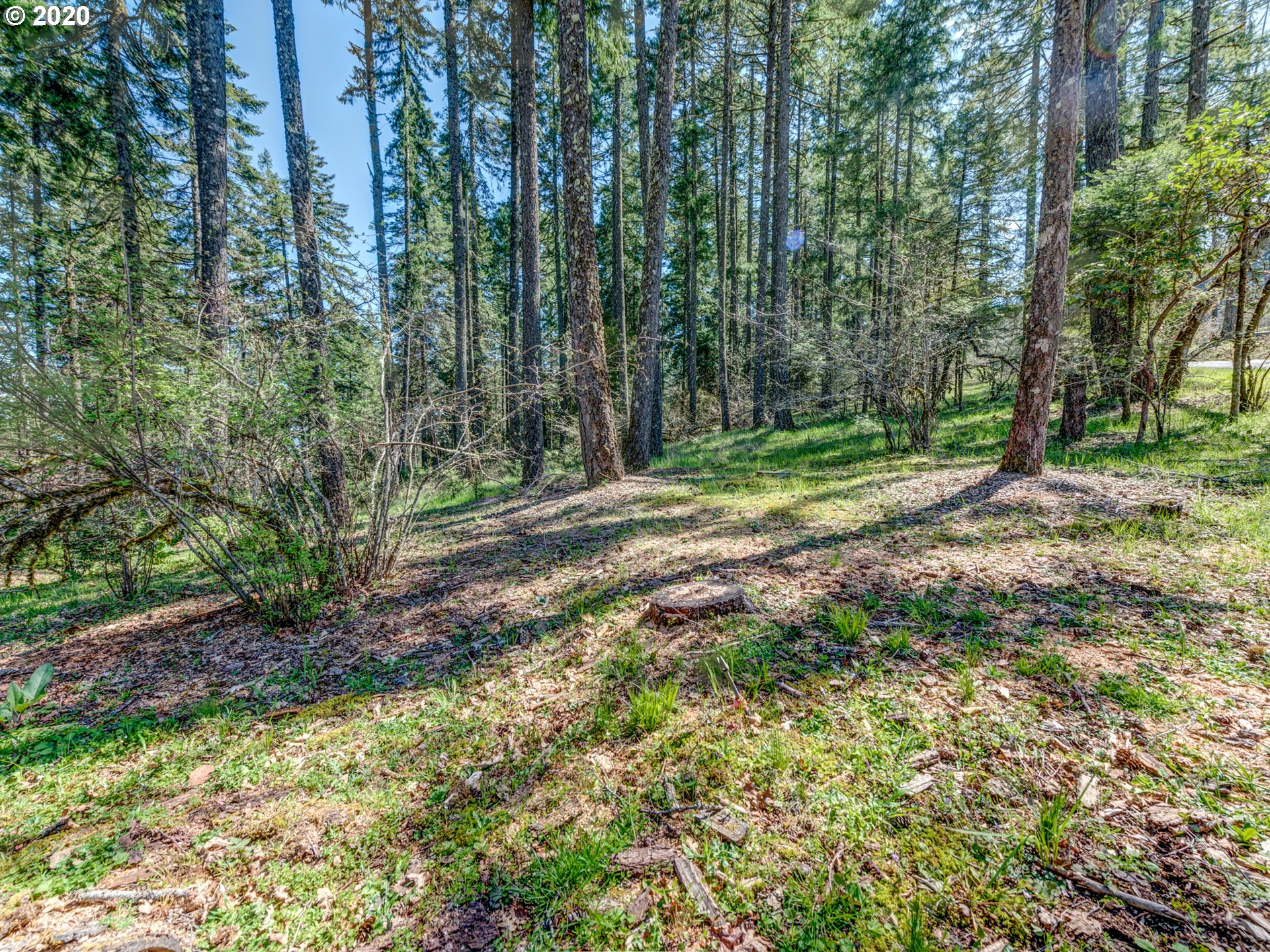 84487 Murdock Road Eugene, OR 97405 - Photo 26 of 28 Gallery Image 26
