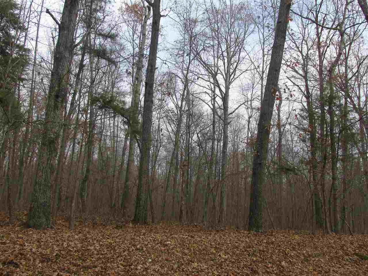 Tbd Ruritan Lake Road Palmyra, VA 22963 - Photo 1 of 1 933+ ft. of frontage on VSH 619 (Ruritan Lake Rd);located 2.25 miles from Cunningham on Rt.53;