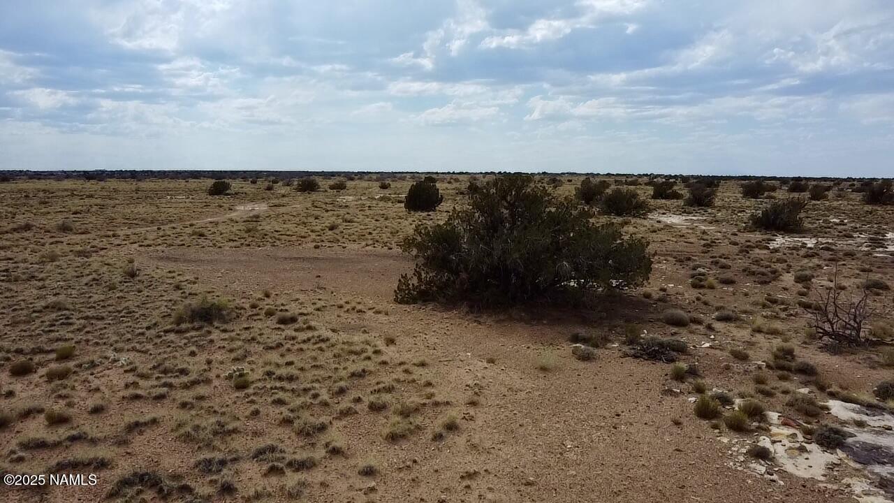 2 Pinto Road Heber, AZ 85928 - Photo 15 of 22 2025-08-07-15-15-49-107