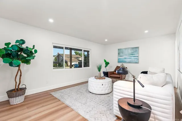 a living room with furniture and a potted plant